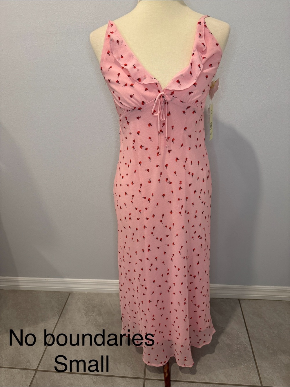 No Boundaries Pink Maxi Dress with Red Floral Print